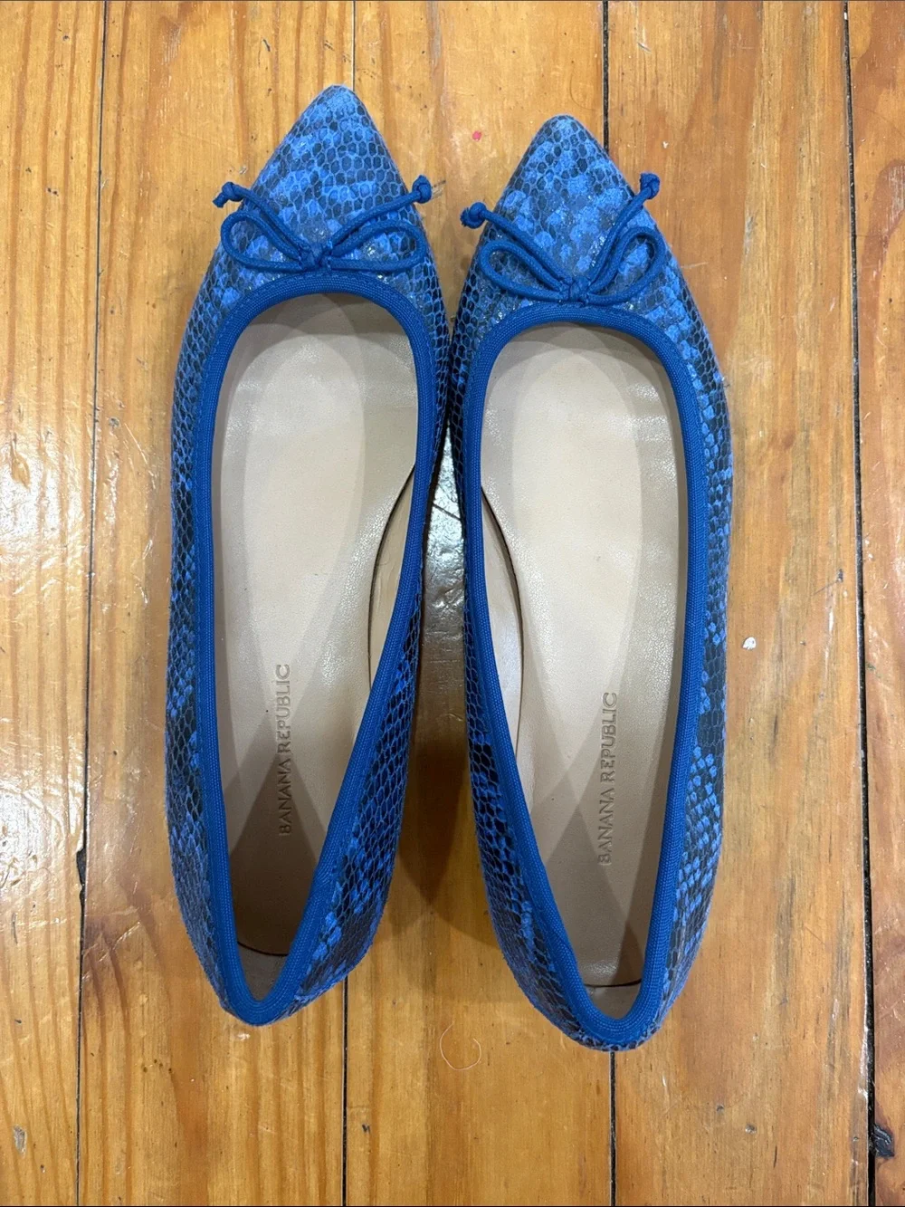 Banana Republic Blue Snake-Print Pointed Ballet Flats